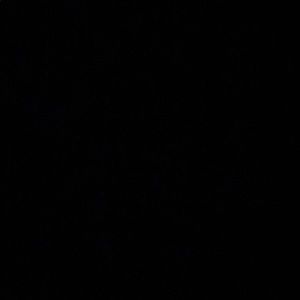 Meet your Posher, Wisgenda